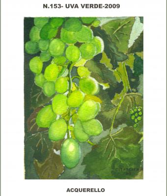 uva-verde