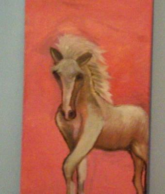 cavallino