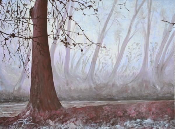alberi-nella-nebbia