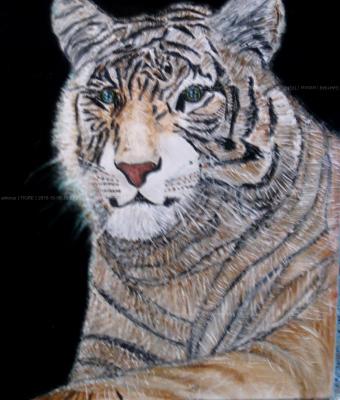 tigre