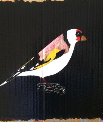 cardellino