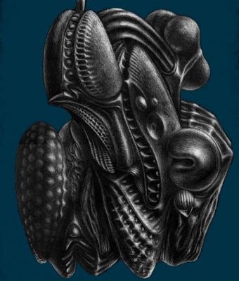 shellfish-from-abra