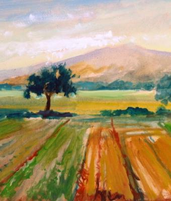 collina-tra-piante