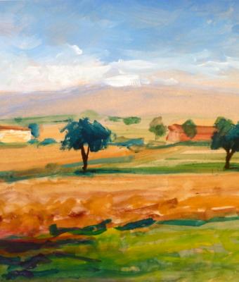 piante-in-campagna