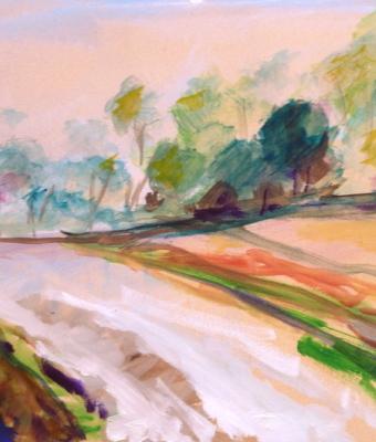 strada-e-vegetazione