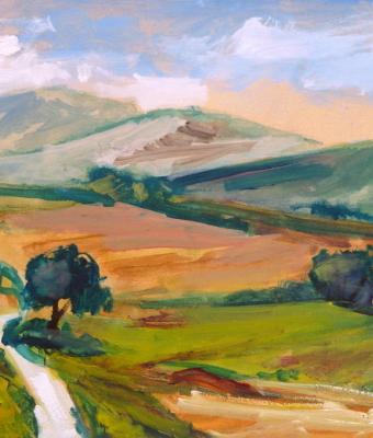 strada-in-collina