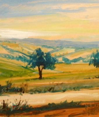 via-e-alberi