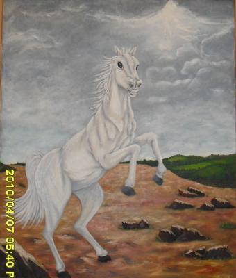 fulmine