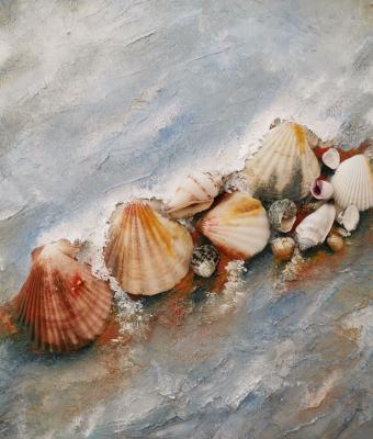 cose-dal-mare
