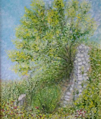 rudere-tra-ginestre-in-fiore