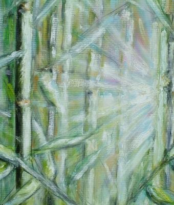 luce-nel-canneto