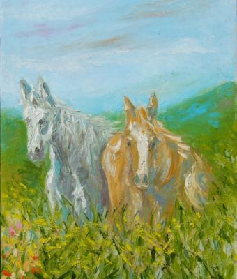 i-cavalli-delle-ginestre