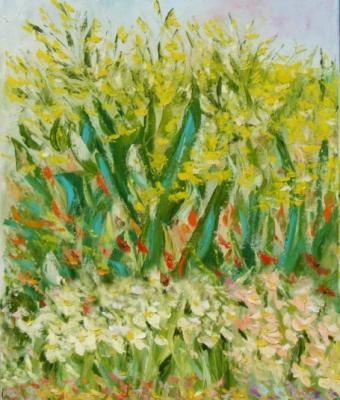 campo-di-primavera