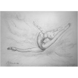 studio-di-ginnastica-ritmica-7