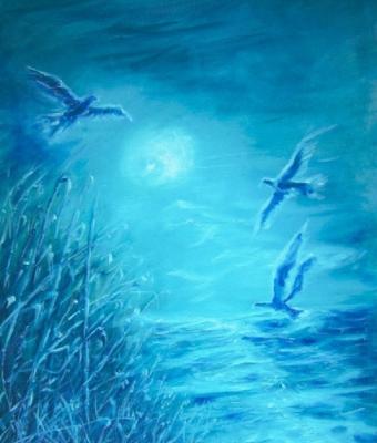 volo-notturno