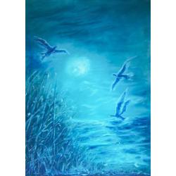 volo-notturno