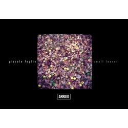 piccole-foglie piccole-foglie