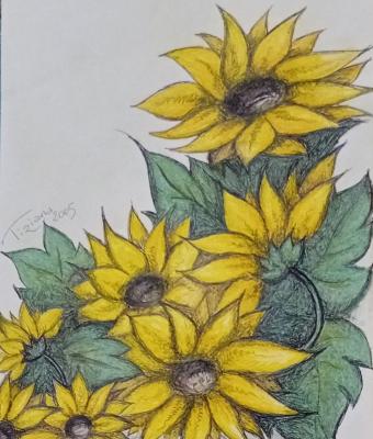 girasoli