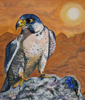 falco-pellegrino-con-cielo-dor