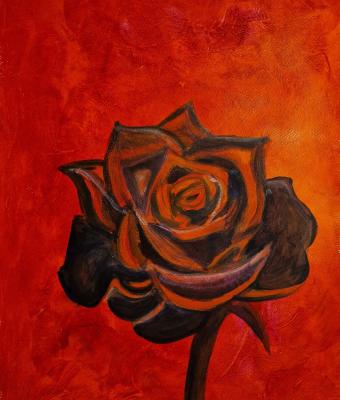una-rosa-rossa
