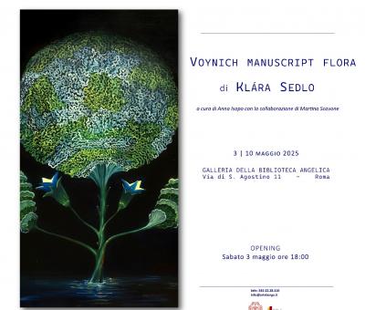 voynich-manuscript-flora