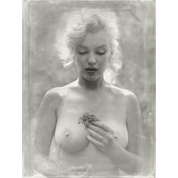 marilyn-monroe