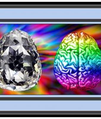 evolution-of-the-human-brain