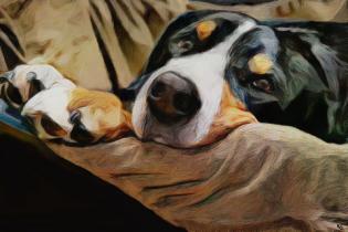 il-ritratto-di-poldo-animal