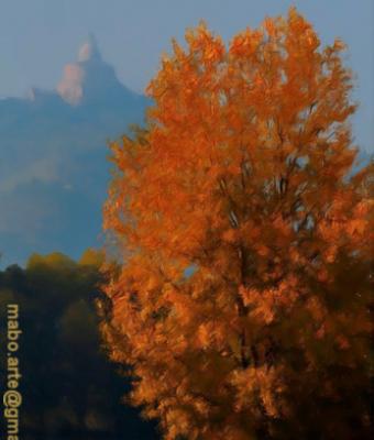 bologna-in-autunno