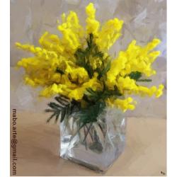 le-mimose-flowers-collection