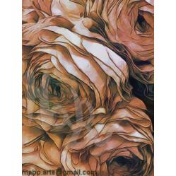 le-rose-flowers-collection
