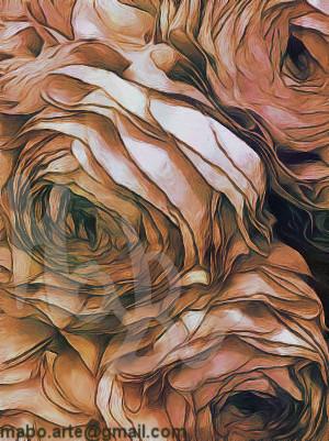 le-rose-flowers-collection