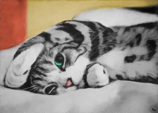 love-cats-2-animal-friends-p