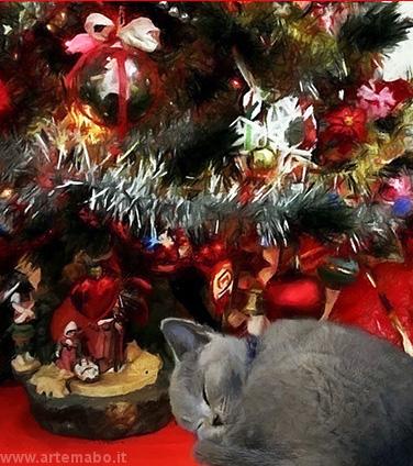 cat-at-christmas-family-coll
