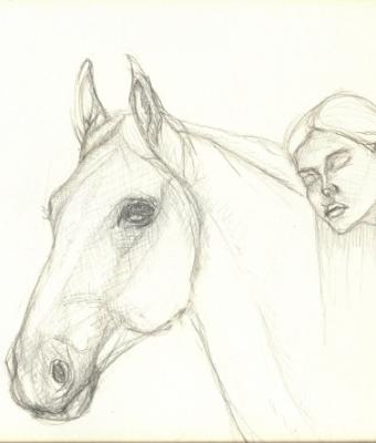 disegno