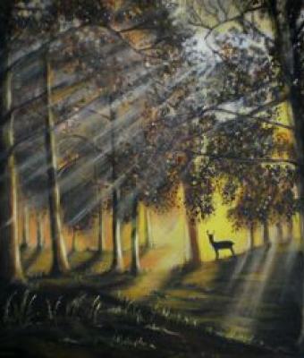 bosco-incantato