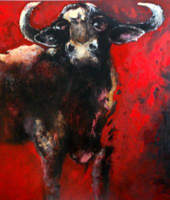 toro-n-2