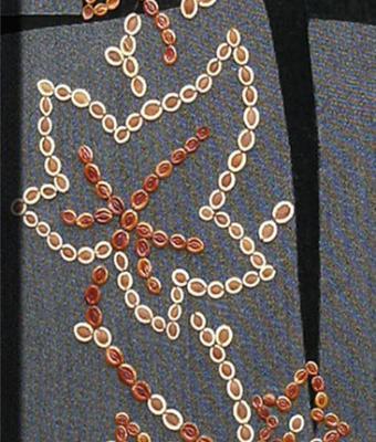 edera