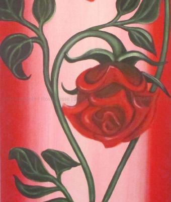 rose-rosse