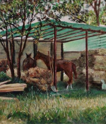 les-chevaux