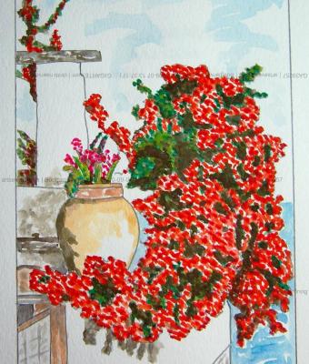bougainville-sicilia
