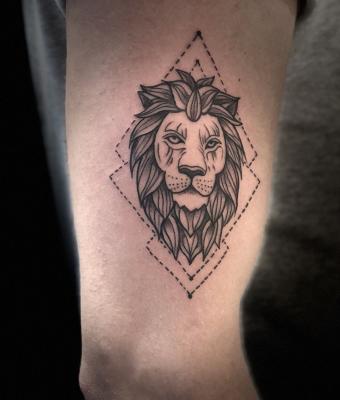 lion