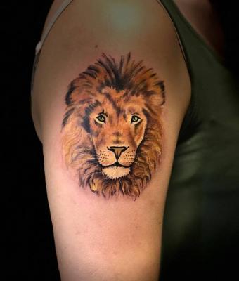 lion