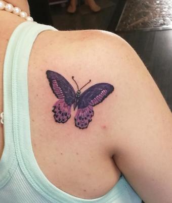 farfalla-viola