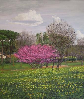roma-vista-dalle-mura-aurelian