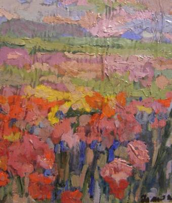 paesaggio-cromatico