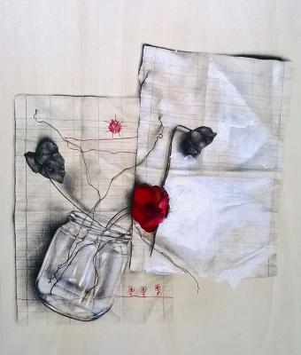 fiori-di-carta