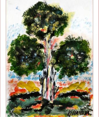 il-vecchi-albero