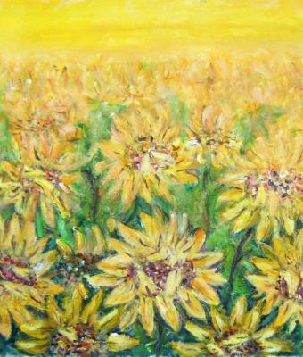 girasoli