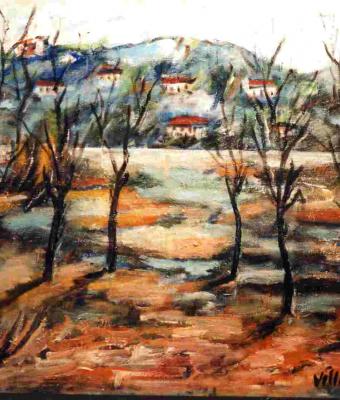 alberi-nudi